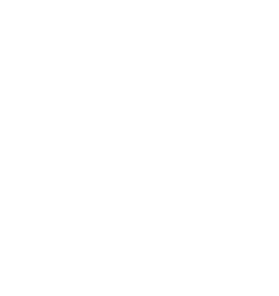 DFW Vasavi Seva Foundation